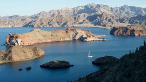 Puerto Refugio/Isla Angel de la Guardia