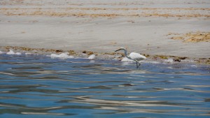 Punta El Pescador