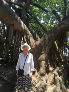 Seriously cool tree and the beautiful Elizabeth in the foreground.