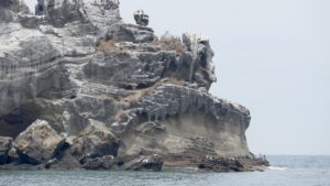 Chaucy rock on Los Monas off Isla Isabel