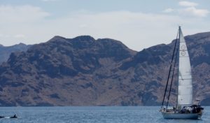 Our friends, Mike and Katie on Adagio were the only other boat in sight, across the Sea, so we hailed them to come join in on the Orca fun!