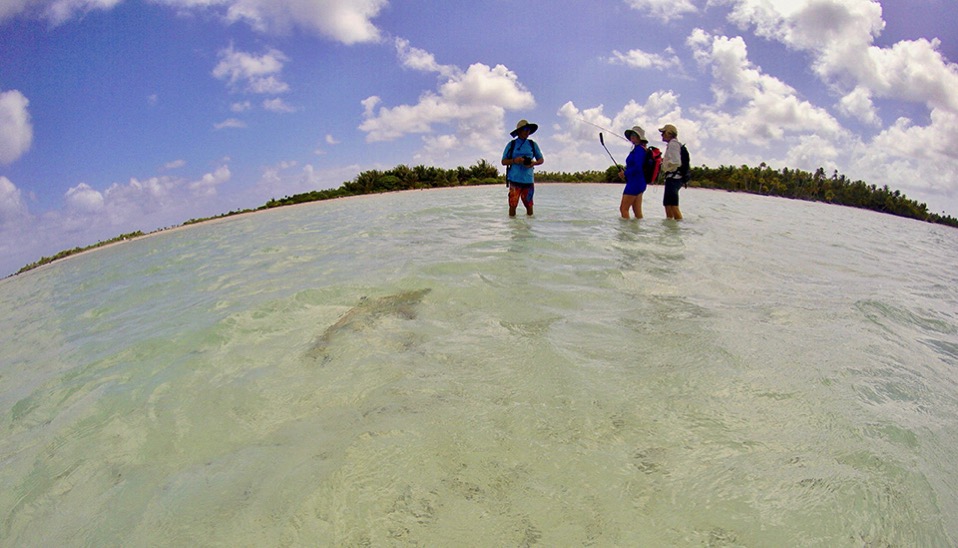 RS Ellen and Rand and the sharks hang out with Marcus to witness the art of flyfishing to bonefish