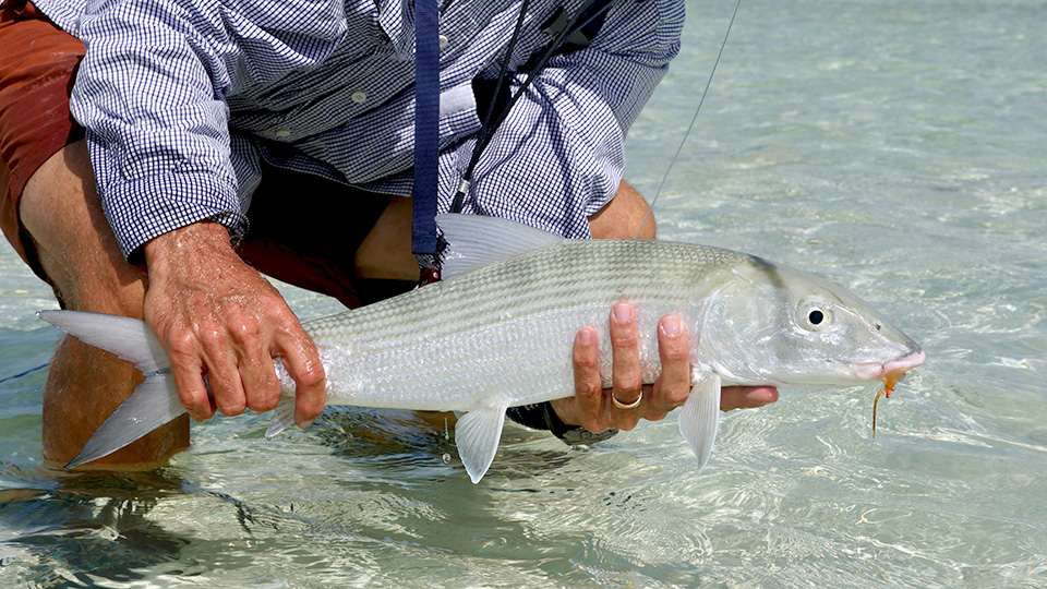 RS Kio Kio Bonefish Toau Tuamotus Eastern anchorage